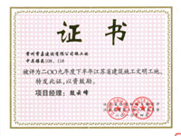 2009ʡ-Է10#11#